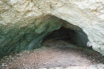 CRW_4387 null