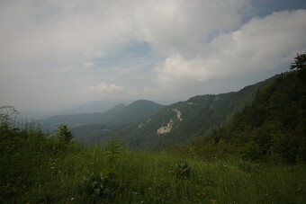 CRW_4422 null