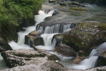 CRW_4429 null