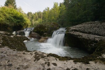 CRW_4440 null