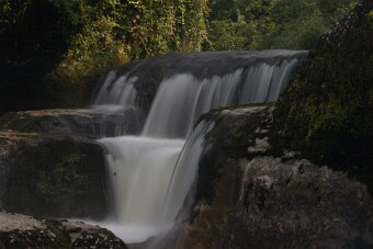 CRW_4444 null