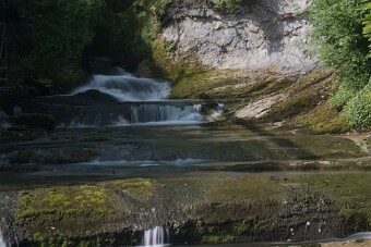 CRW_4449 null