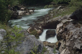 CRW_4472 null