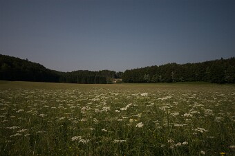 CRW_4558 null