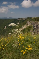 CRW_4401 null