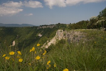CRW_4404 null