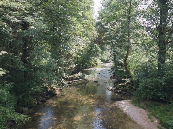 Pertes de la Valserine