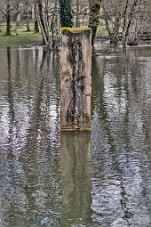 IMG_5113 null