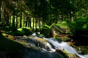 Antrona Lac majeur, Italie