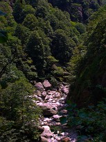 Cicogna e Parco Val Grande Lac majeur, Italie