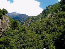 Cicogna e Parco Val Grande Lac majeur, Italie