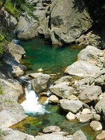 Cicogna e Parco Val Grande Lac majeur, Italie