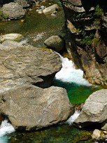 Cicogna e Parco Val Grande Lac majeur, Italie