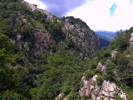 Cicogna e Parco Val Grande Lac majeur, Italie