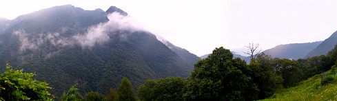 Cicogna e Parco Val Grande Lac majeur, Italie