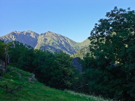 Cicogna e Parco Val Grande Lac majeur, Italie