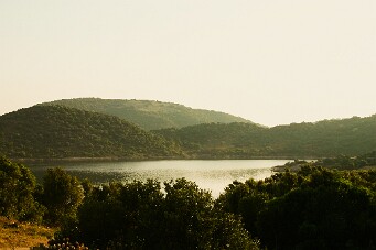 IMG_3816_01 null