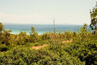 IMG_4035b_01 null