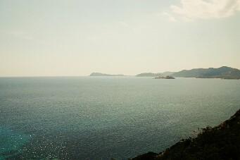 IMG_4039b_01 null