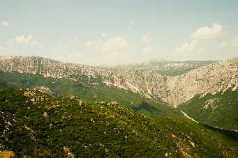 IMG_3971b_01 null