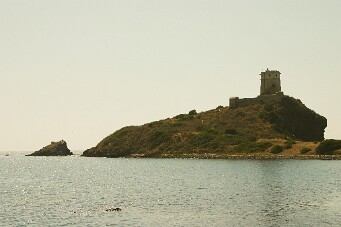 IMG_3984b_01 null