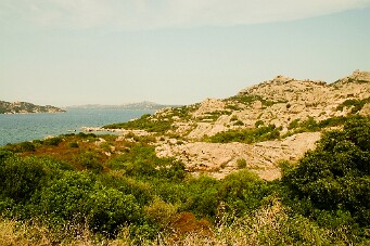 IMG_4132b_01 null