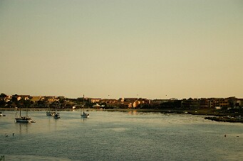 IMG_4170_01 null