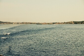 IMG_4181_01 null