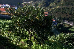 Arco de Sao Jorge Madère