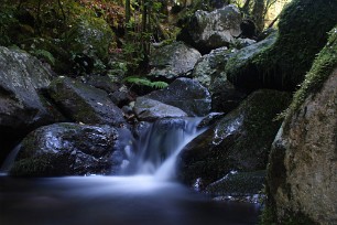 Levada, Chao de Ribeira Madère