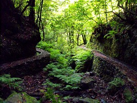 Levada, Chao de Ribeira Madère