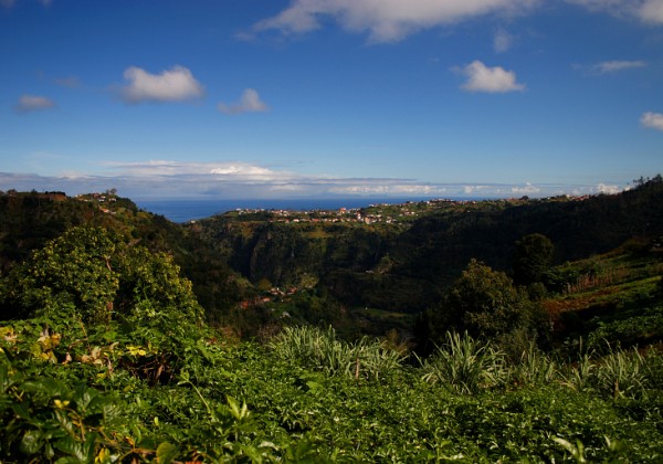 Pico Das Pedras