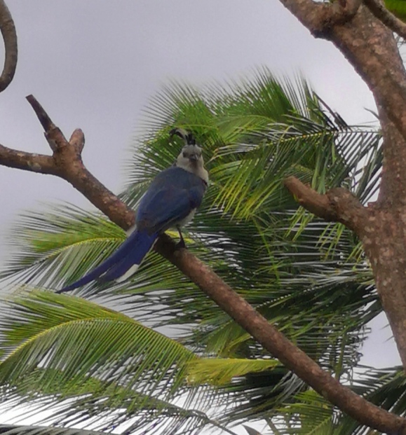 You are currently viewing Nicaragua 2023 – Jour 4