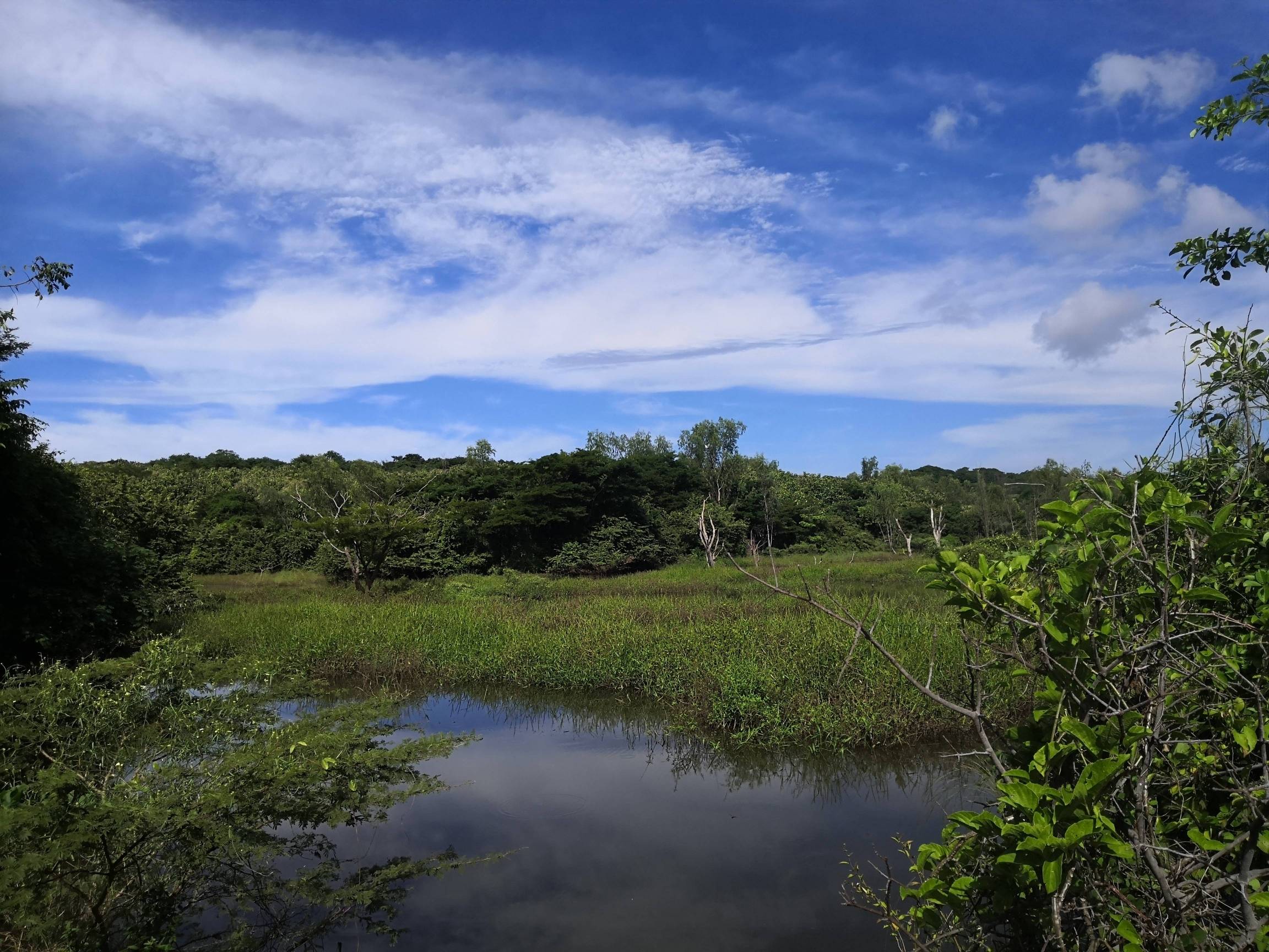 Lire la suite à propos de l’article Nicaragua 2023 – Jour 8