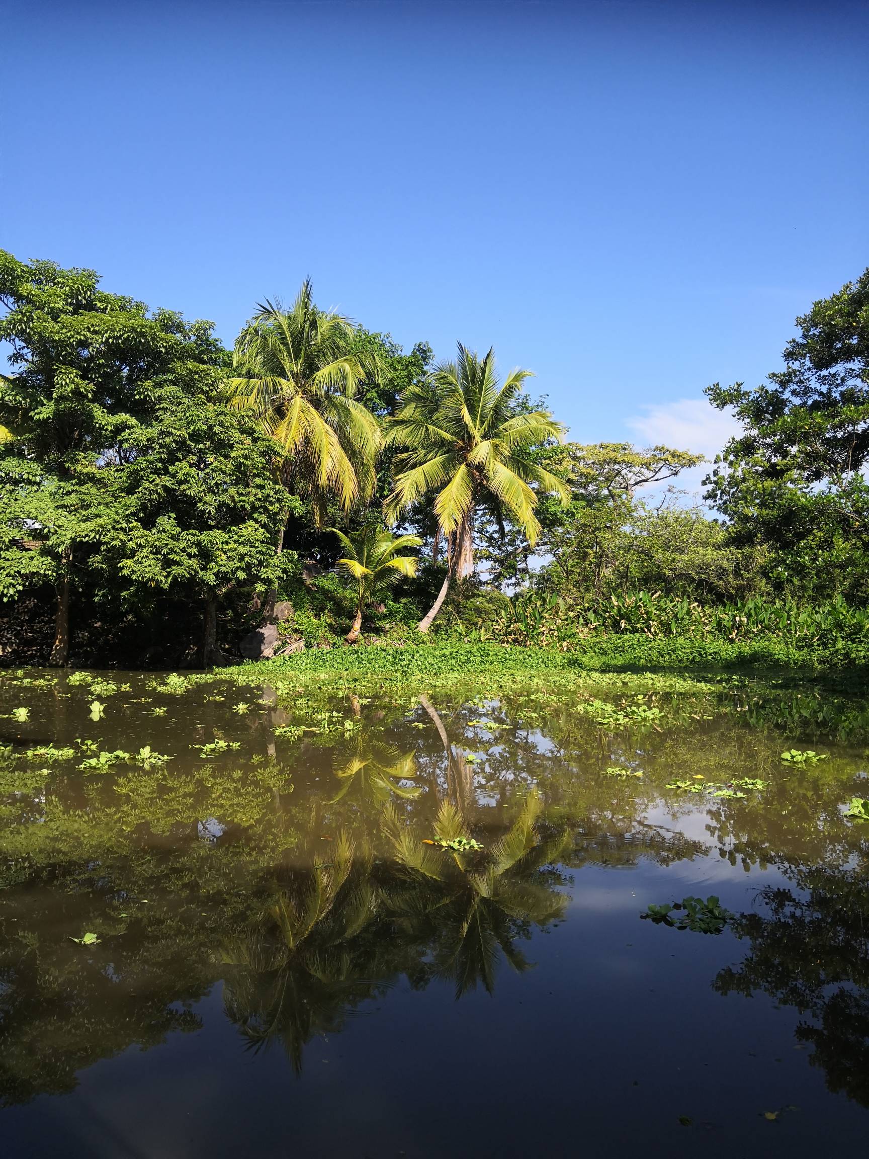 Lire la suite à propos de l’article Nicaragua 2023 – Jour 12