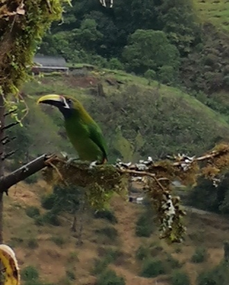 Lire la suite à propos de l’article Costa Rica – Jour 5