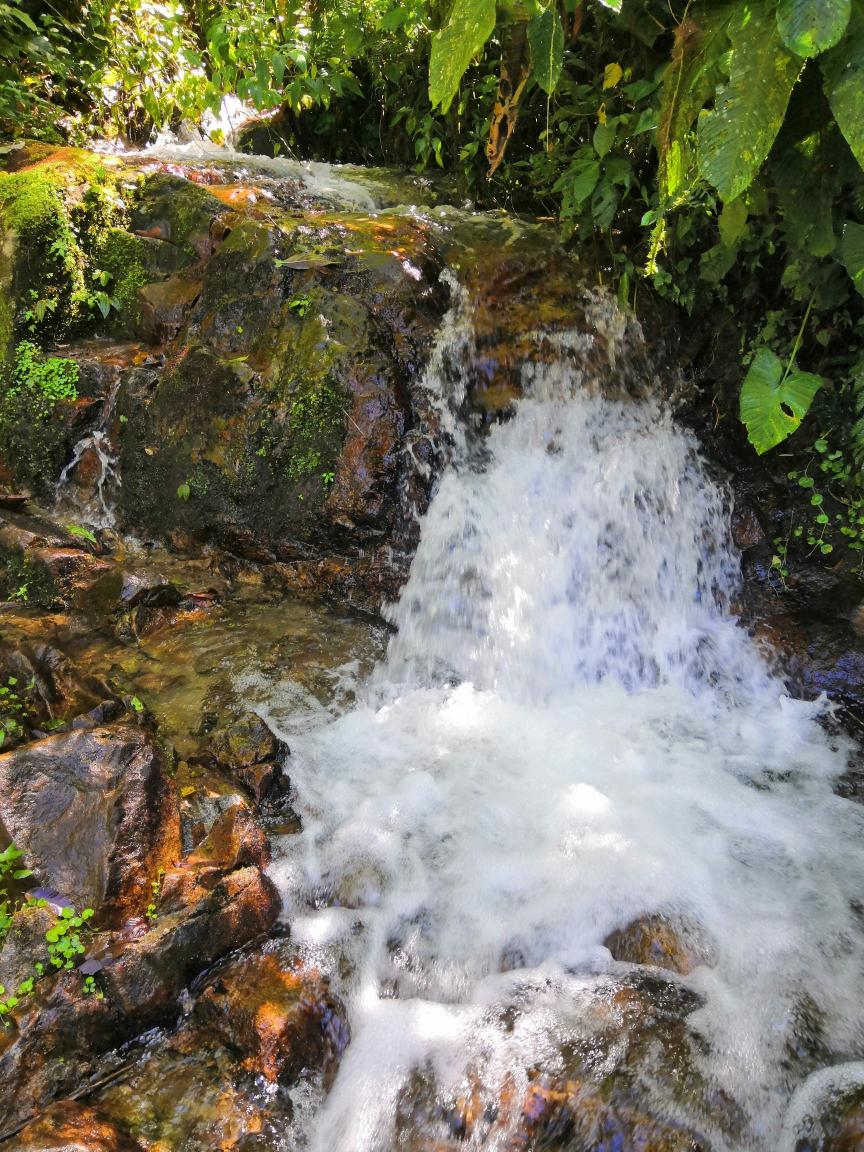 Lire la suite à propos de l’article Costa Rica – Jour 6