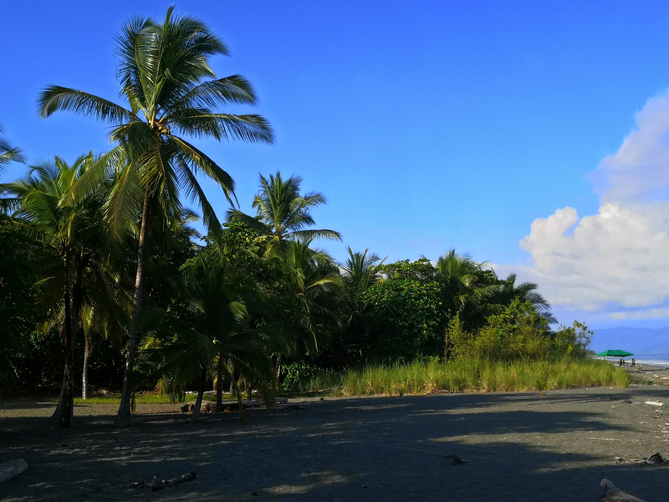 You are currently viewing Costa Rica – Jour 7