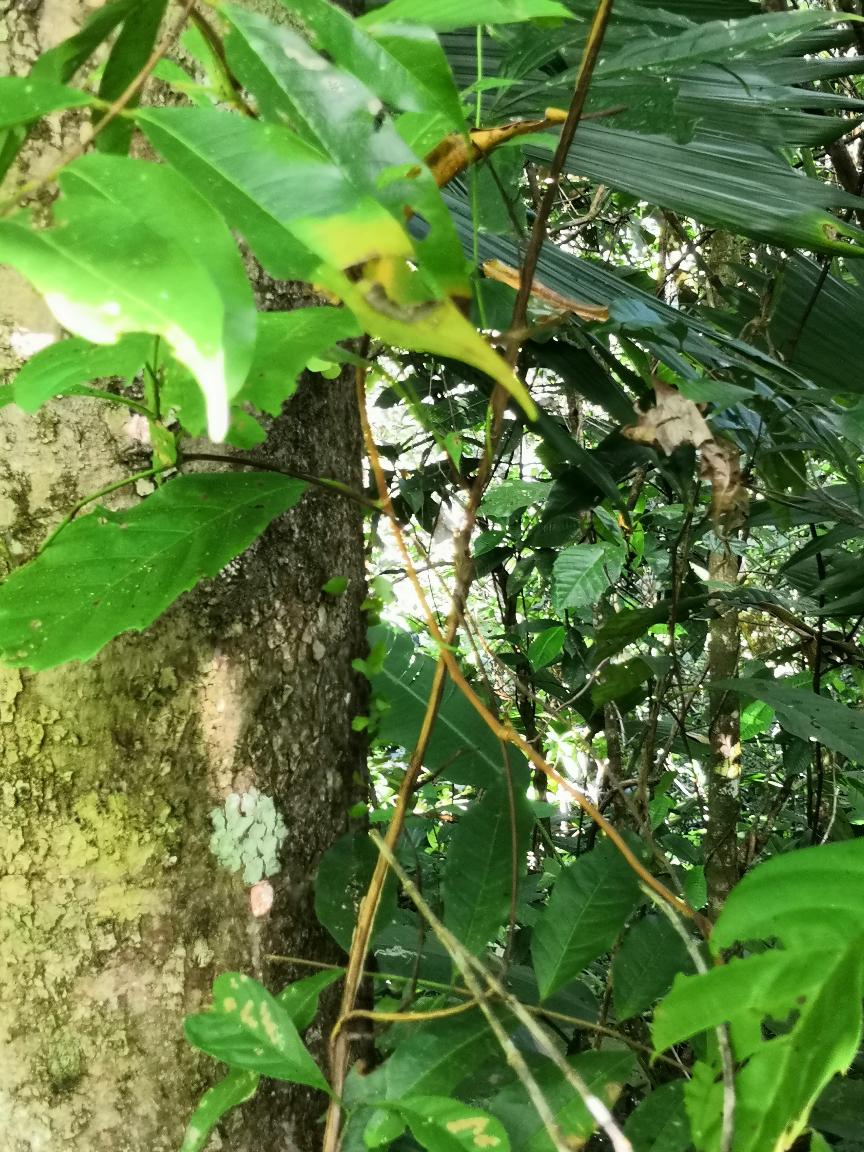 Lire la suite à propos de l’article Costa Rica – Jour 8