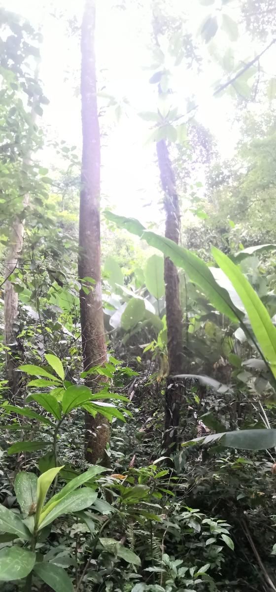 You are currently viewing Costa Rica – Jour 9