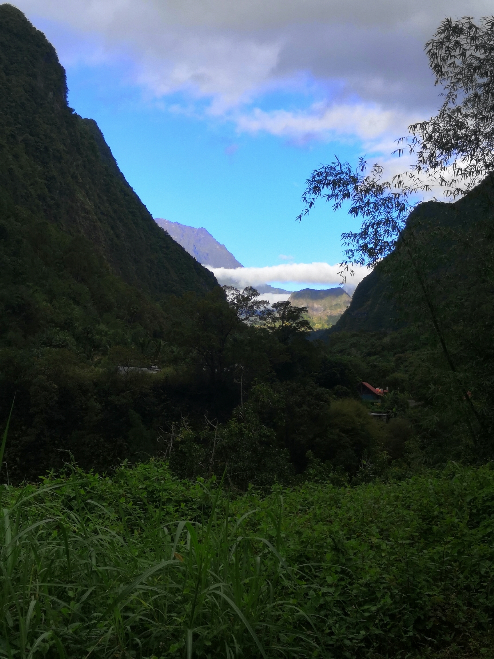 Lire la suite à propos de l’article La Réunion 2024 – Jour 2
