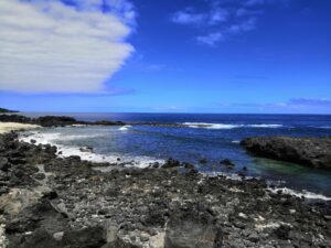 Lire la suite à propos de l’article La Réunion 2024 – Jour 3