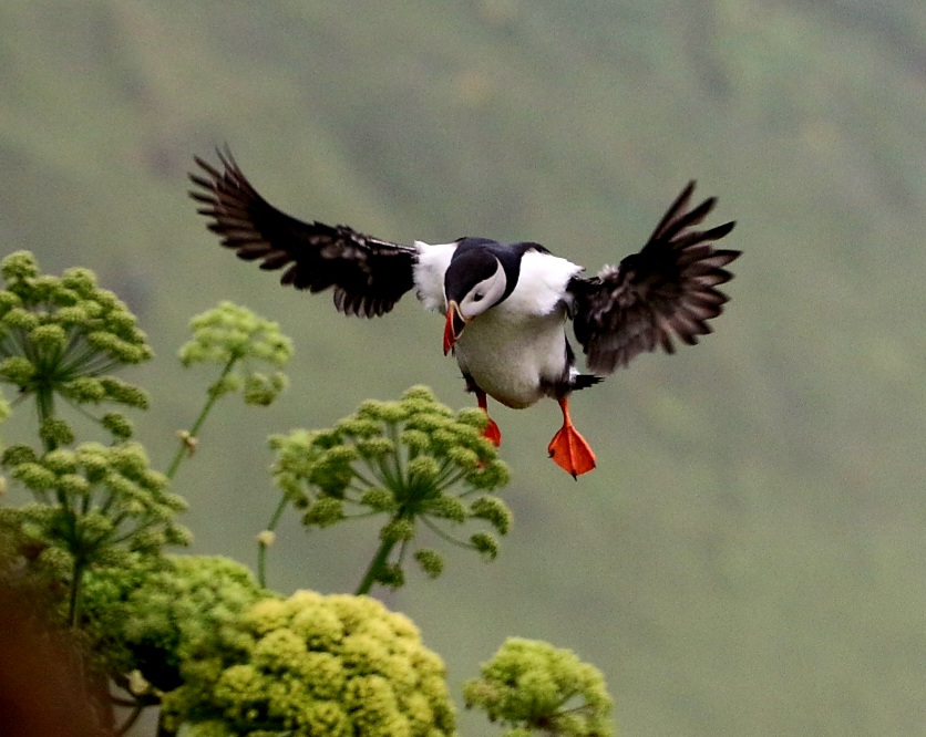 Lire la suite à propos de l’article Islande 2025 – Jour 20