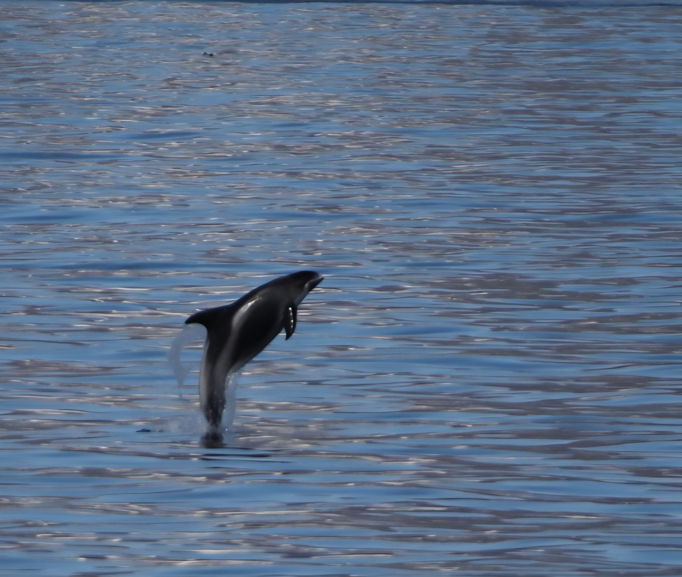 Lire la suite à propos de l’article Islande 2025 – Jour 6